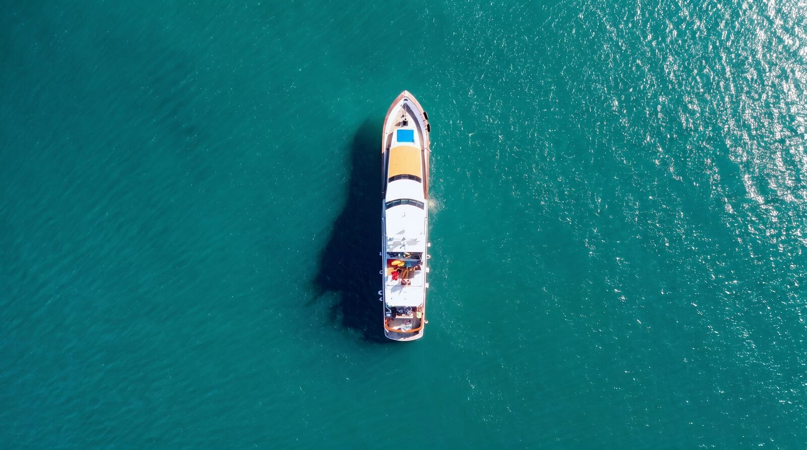 Top-down aerial of Sea Tiger underway