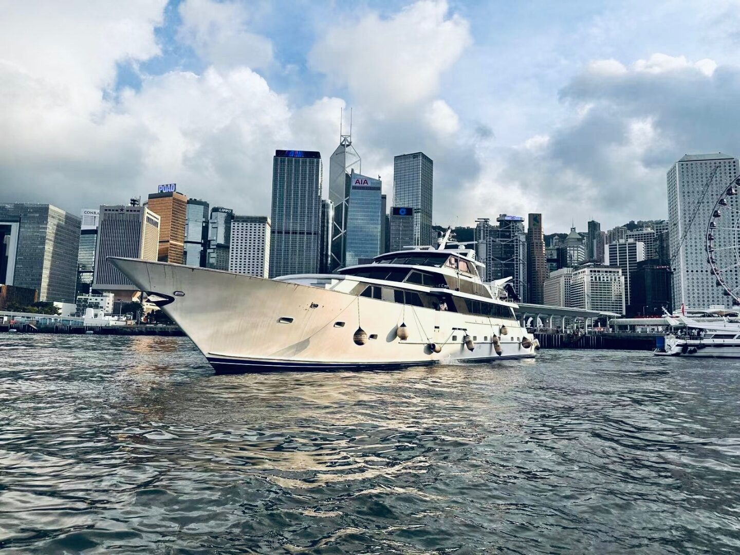 Sea Tiger with Hong Kong skyline