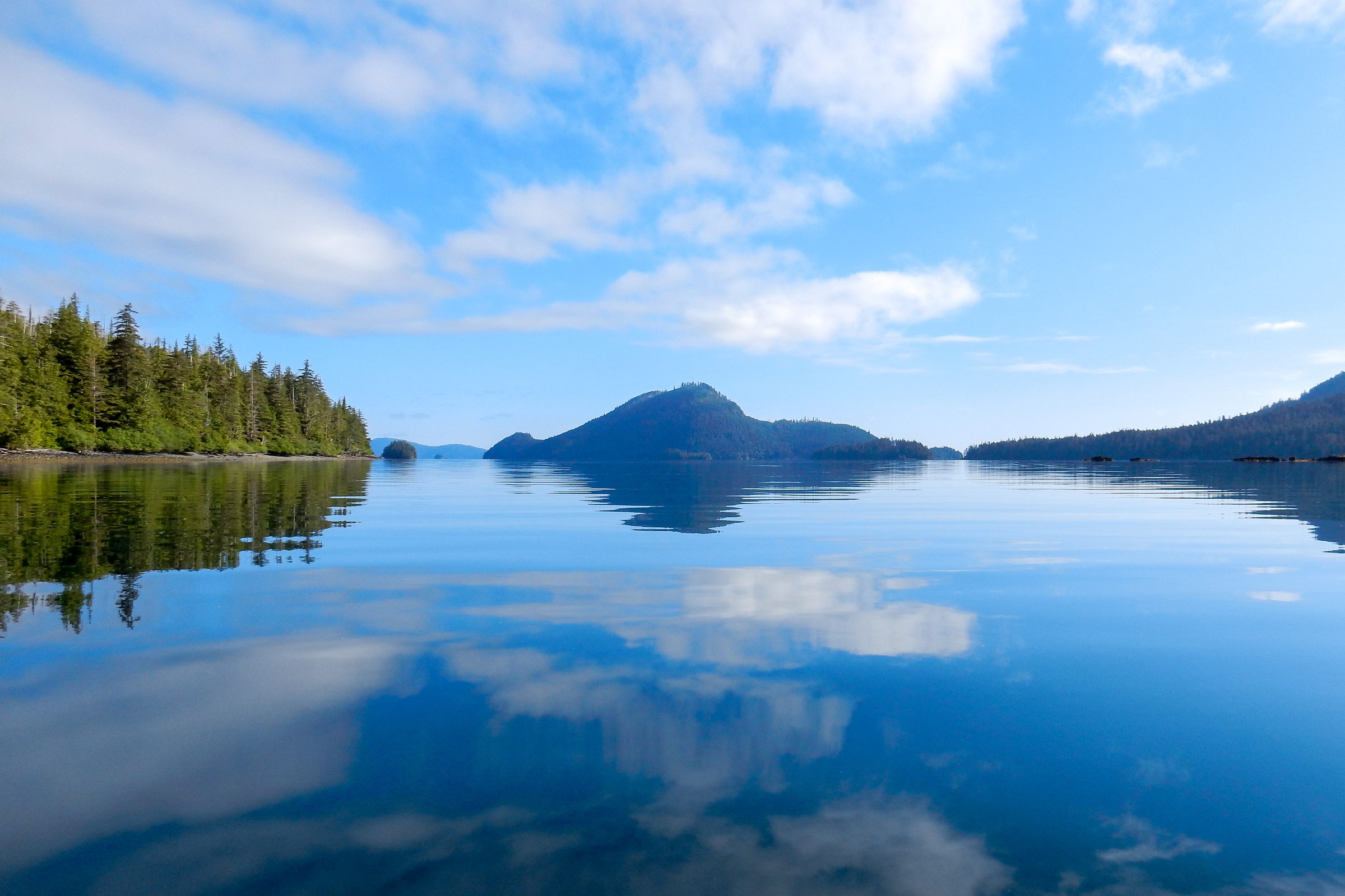 Canada and B.C. sign Indigenous-led marine conservation deal on the Great Bear Sea