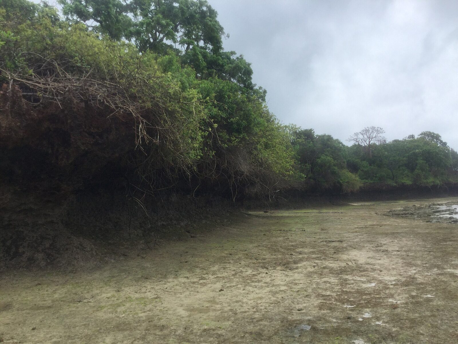 Wasini Island in Kisite-Mpunguti Marine National Park off the southern Kenyan coast, Western Indian Ocean