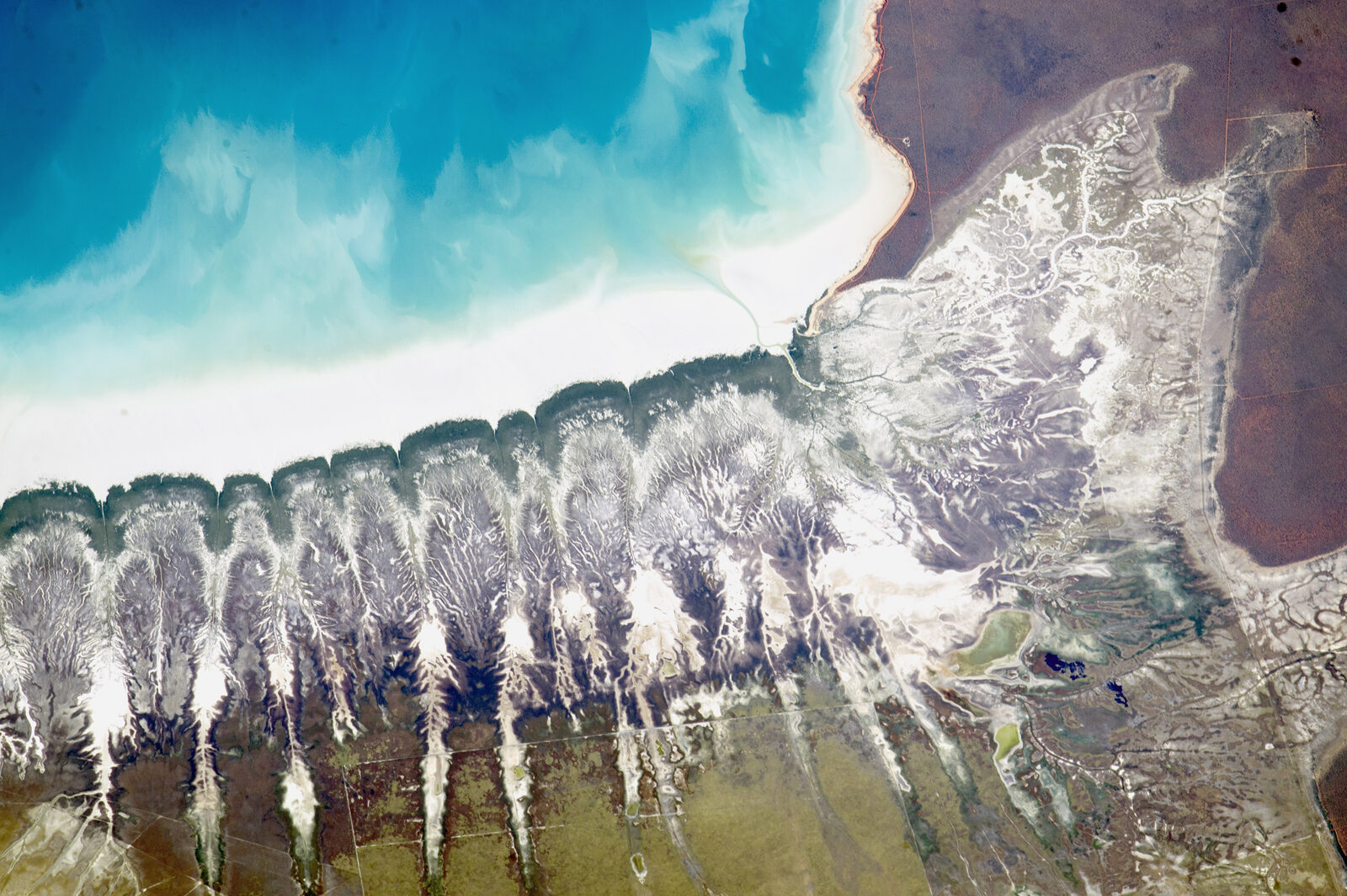 The Ocean Crosses 10% Protected. The High Seas Are Where the Next Phase Gets Real