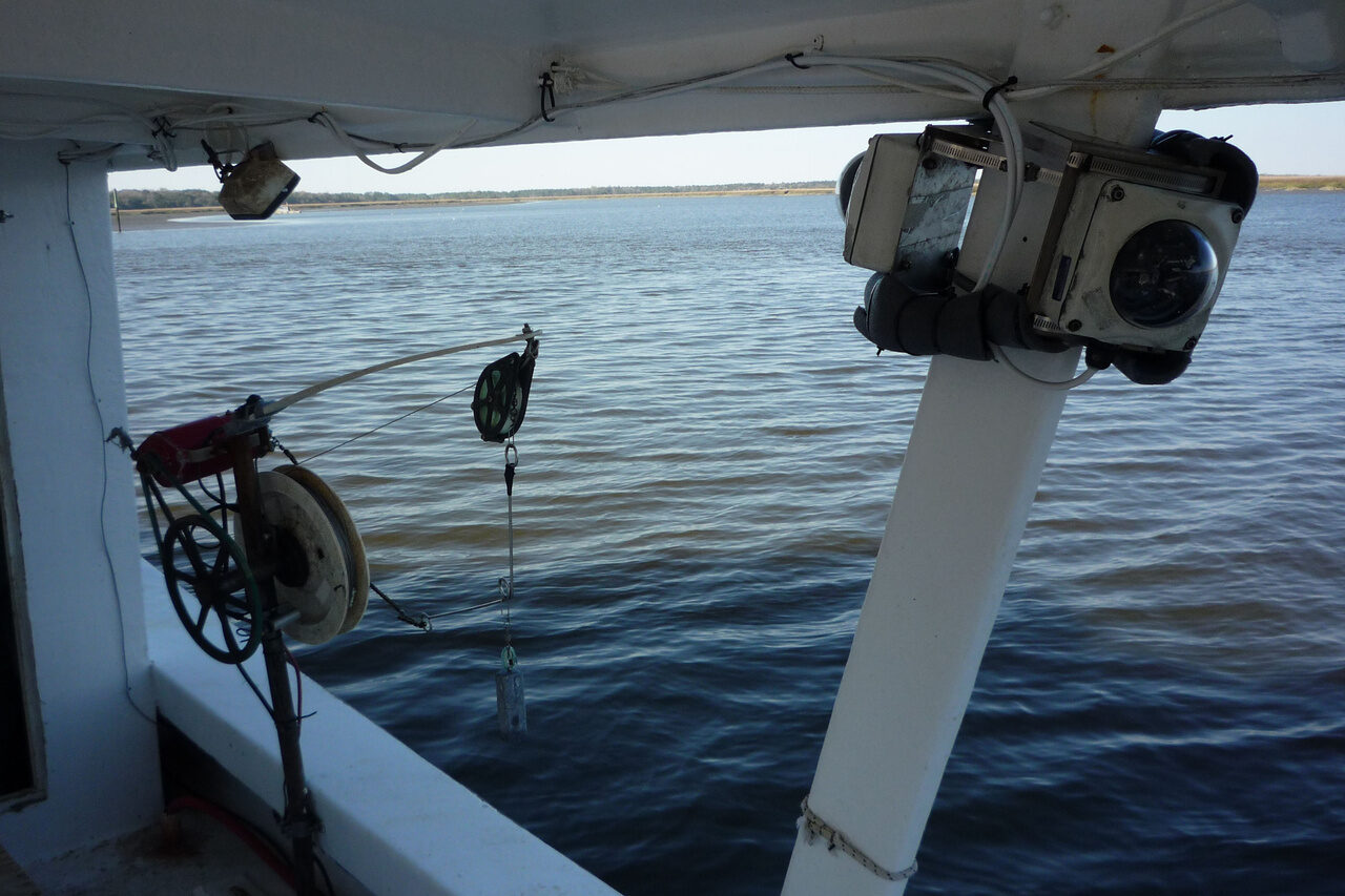 Tuna transparency is getting a deadline — and $163 million is riding on the data