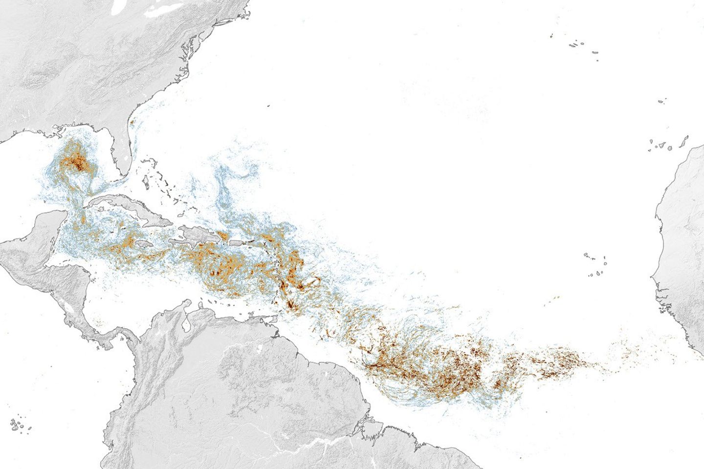 AI maps a global algae boom — and a new operating reality for coastal communities