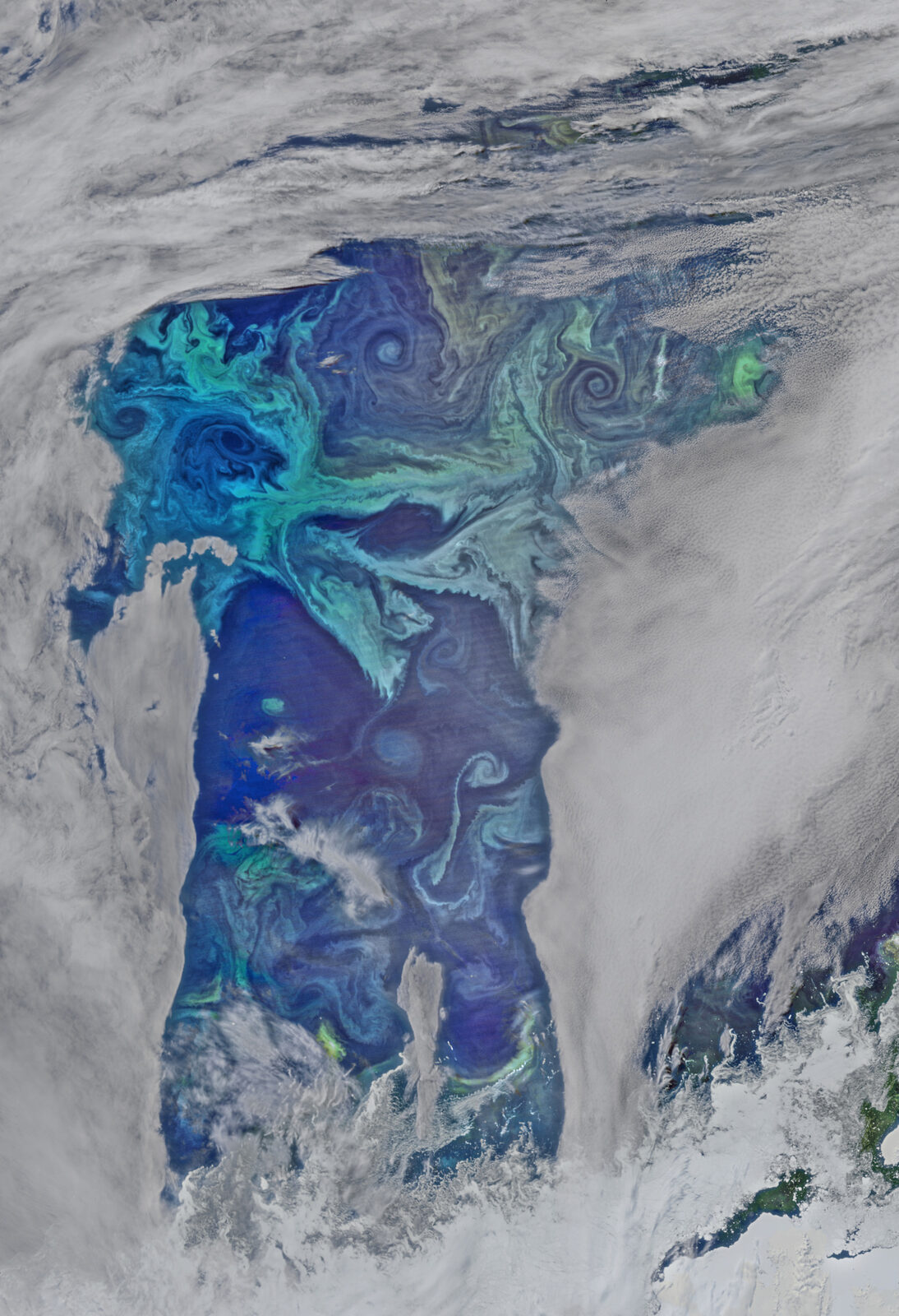 The ocean’s carbon sink is under pressure — and the data is still too thin