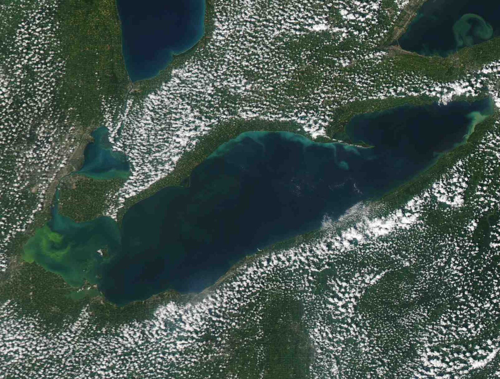 Red tide turns fisheries management into an ecosystem stress test