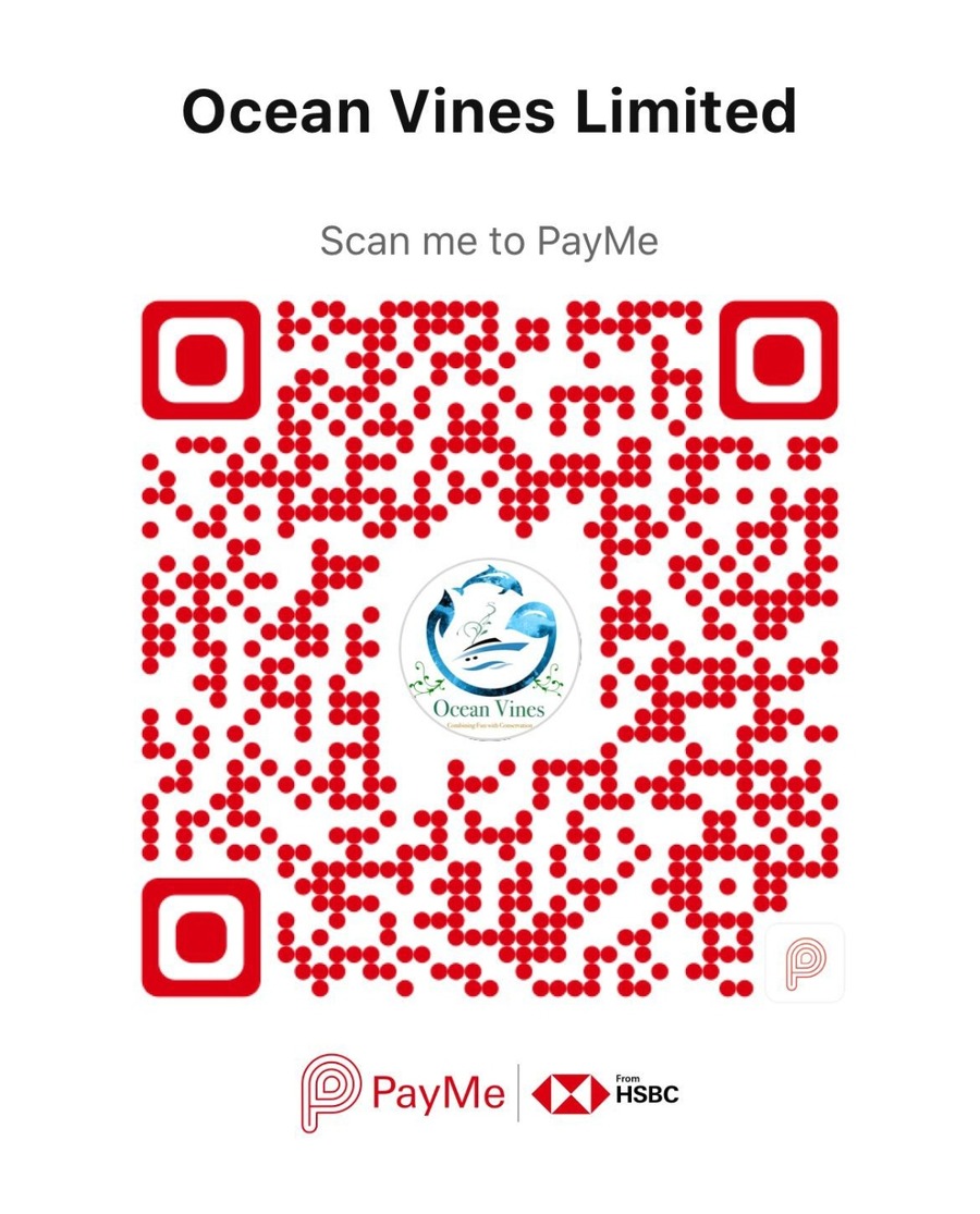 PayMe QR code linking to Ocean Vines Limited — scan with the HSBC PayMe app to donate